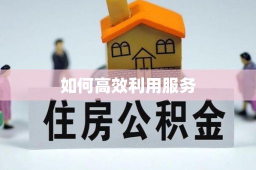 兴文如何高效利用服务