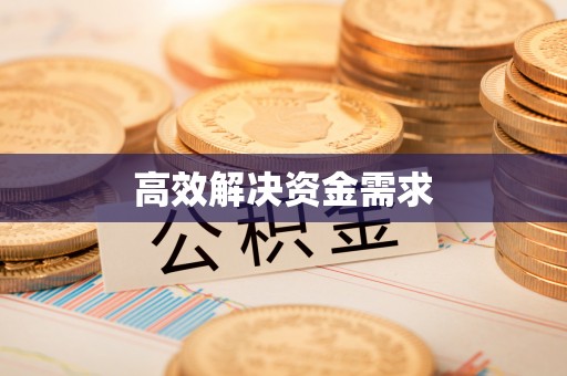 兴文高效解决资金需求