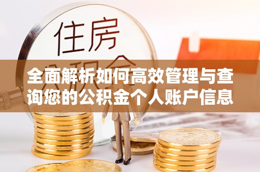 兴文全面解析如何高效管理与查询您的公积金个人账户信息
