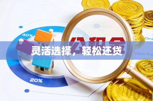 兴文灵活选择，轻松还贷