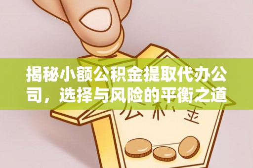 兴文揭秘小额公积金提取代办公司，选择与风险的平衡之道
