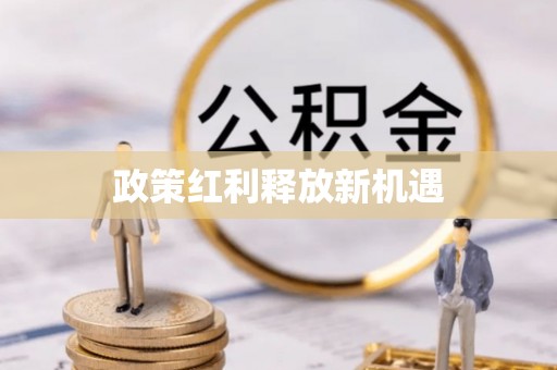 兴文政策红利释放新机遇