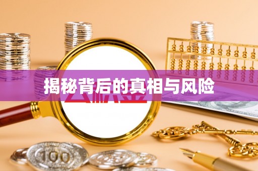 兴文揭秘背后的真相与风险
