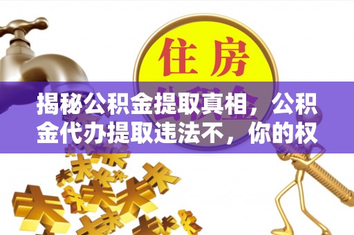 兴文揭秘公积金提取真相，公积金代办提取违法不，你的权益如何保障？