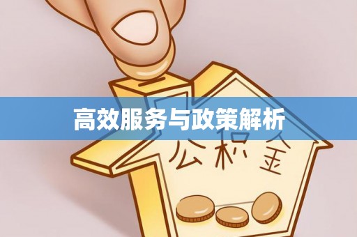 兴文高效服务与政策解析