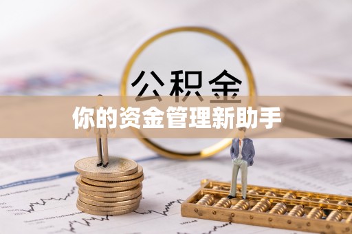 兴文你的资金管理新助手