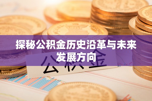 兴文探秘公积金历史沿革与未来发展方向