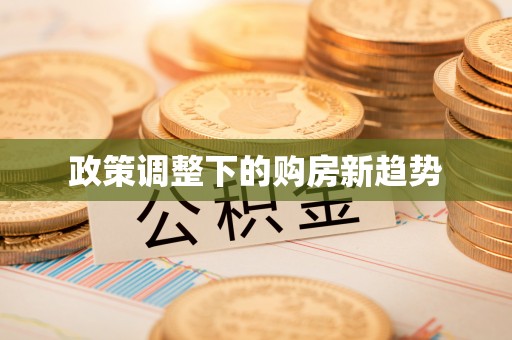 兴文政策调整下的购房新趋势