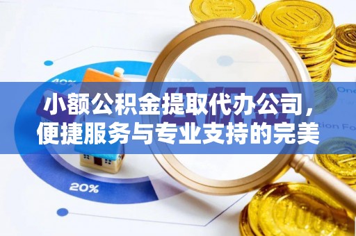 兴文小额公积金提取代办公司，便捷服务与专业支持的完美结合