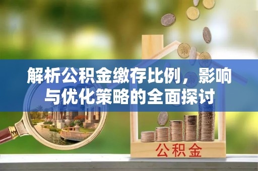 兴文解析公积金缴存比例，影响与优化策略的全面探讨