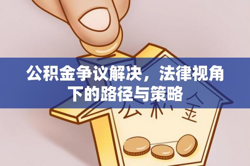兴文公积金争议解决，法律视角下的路径与策略