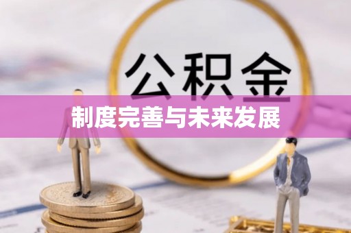兴文制度完善与未来发展
