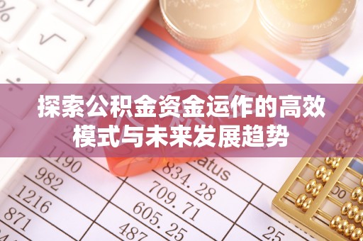 兴文探索公积金资金运作的高效模式与未来发展趋势
