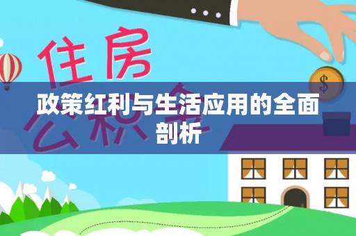 兴文政策红利与生活应用的全面剖析