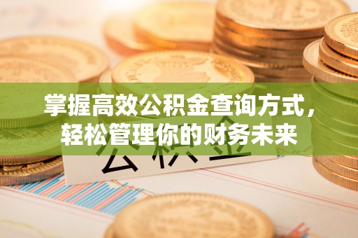 兴文掌握高效公积金查询方式，轻松管理你的财务未来