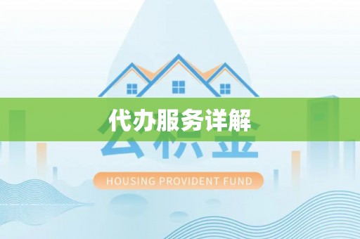 兴文代办服务详解