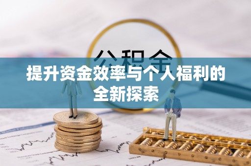 兴文提升资金效率与个人福利的全新探索