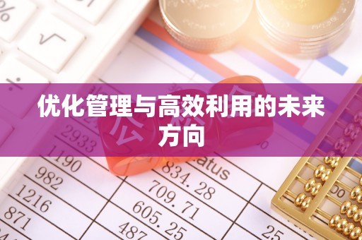 兴文优化管理与高效利用的未来方向