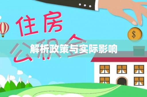兴文解析政策与实际影响