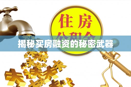 兴文揭秘买房融资的秘密武器