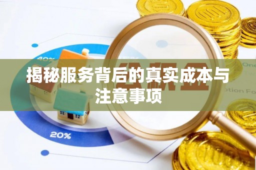 兴文揭秘服务背后的真实成本与注意事项