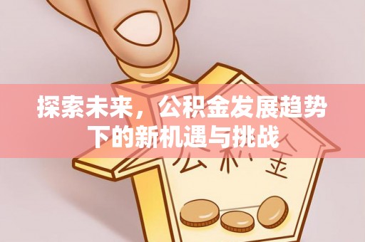 兴文探索未来，公积金发展趋势下的新机遇与挑战