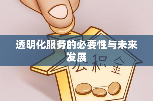 兴文透明化服务的必要性与未来发展