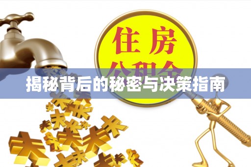 兴文揭秘背后的秘密与决策指南