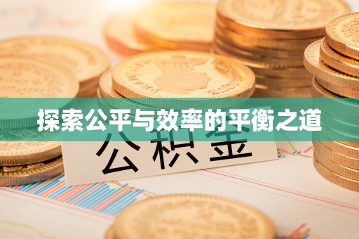 兴文探索公平与效率的平衡之道