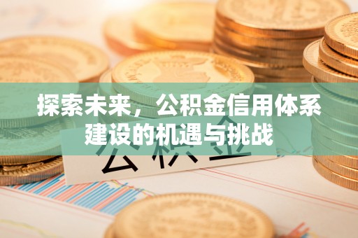兴文探索未来，公积金信用体系建设的机遇与挑战