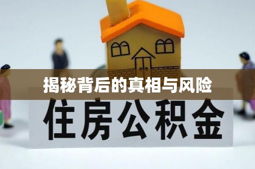 兴文揭秘背后的真相与风险