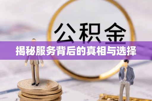兴文揭秘服务背后的真相与选择