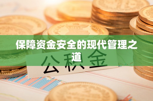 兴文保障资金安全的现代管理之道