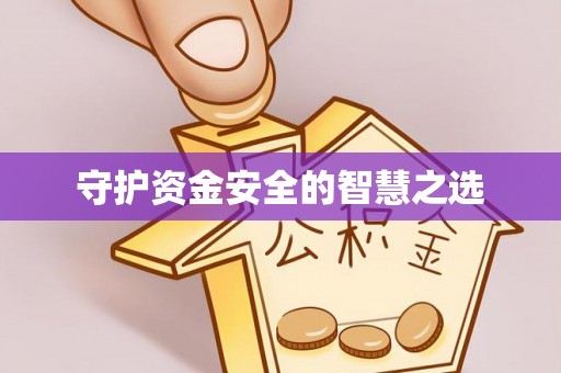 兴文守护资金安全的智慧之选