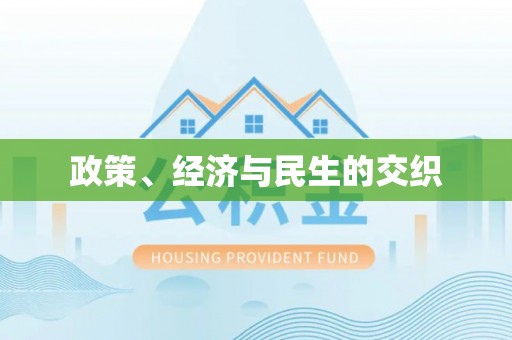 兴文政策、经济与民生的交织