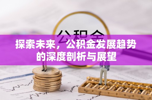兴文探索未来，公积金发展趋势的深度剖析与展望