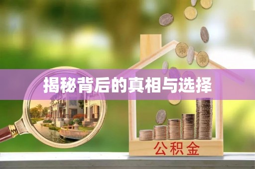兴文揭秘背后的真相与选择