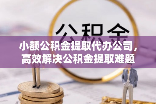 兴文小额公积金提取代办公司，高效解决公积金提取难题