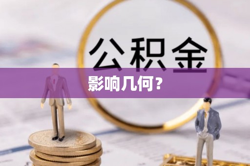 兴文影响几何？