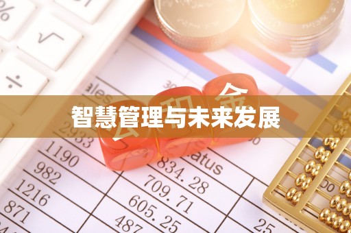 兴文智慧管理与未来发展