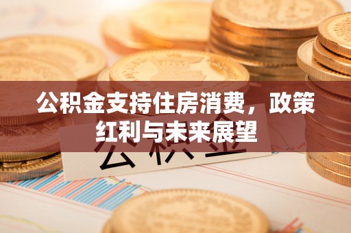 兴文公积金支持住房消费，政策红利与未来展望