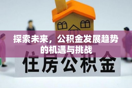 兴文探索未来，公积金发展趋势的机遇与挑战