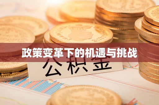 兴文政策变革下的机遇与挑战