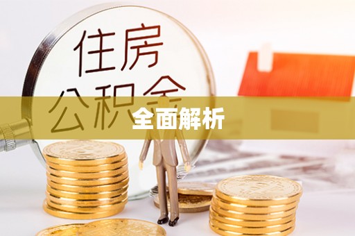 兴文全面解析