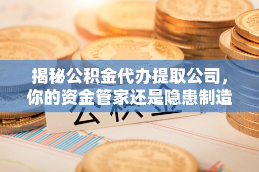 兴文揭秘公积金代办提取公司，你的资金管家还是隐患制造者？