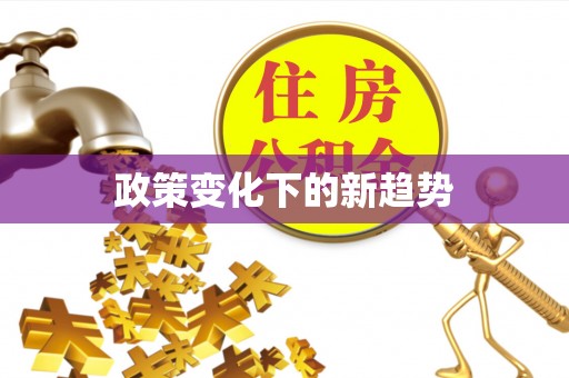 兴文政策变化下的新趋势