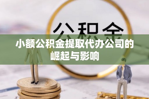 兴文小额公积金提取代办公司的崛起与影响