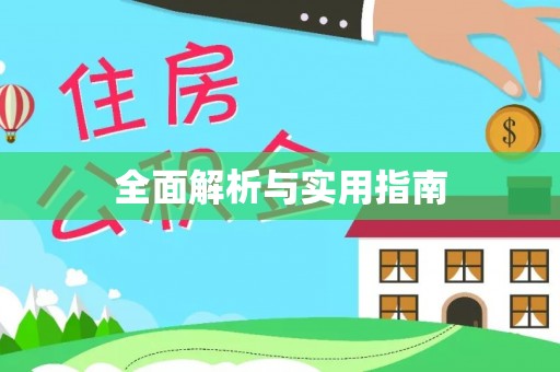 兴文全面解析与实用指南