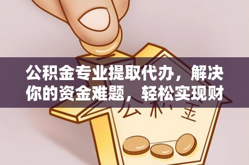 兴文公积金专业提取代办，解决你的资金难题，轻松实现财务自由