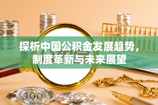 兴文探析中国公积金发展趋势，制度革新与未来展望